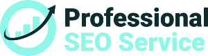 Professional SEO Service