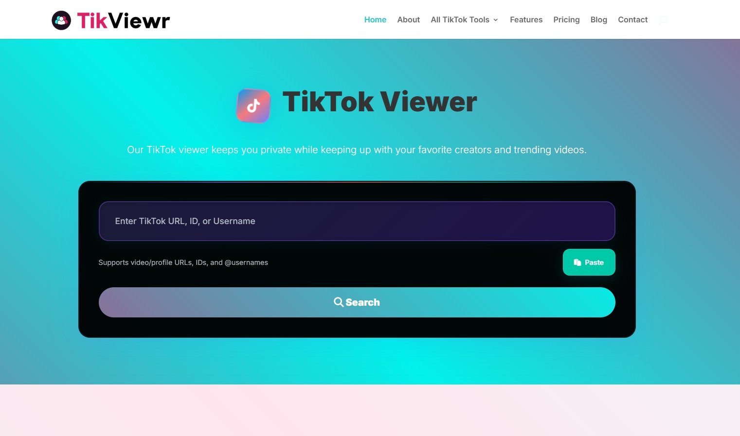 TikViewr TikTok viewer website screenshot